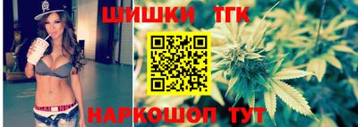 шишки Лесосибирск