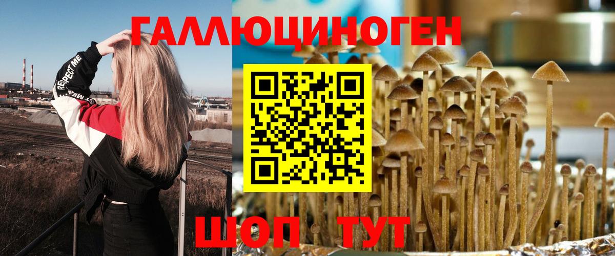 Псилоцибиновые грибы мухоморы Югорск