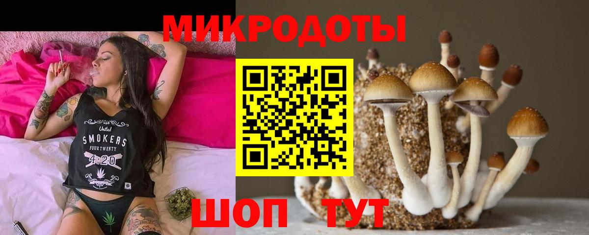 Югорск  Галлюциногенные грибы Cubensis  Псилоцибиновые грибы MAGIC MUSHROOMS  Вход с VPN 